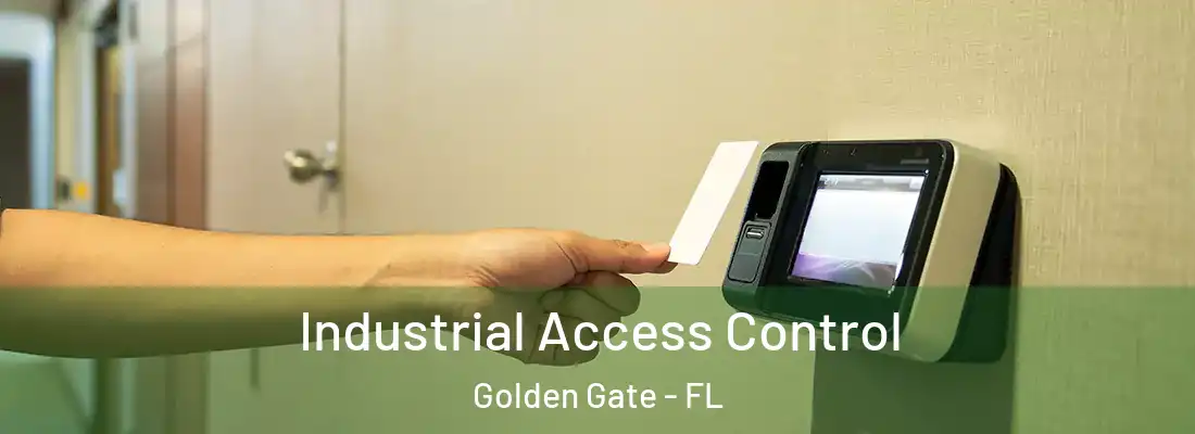  Industrial Access Control Golden Gate - FL