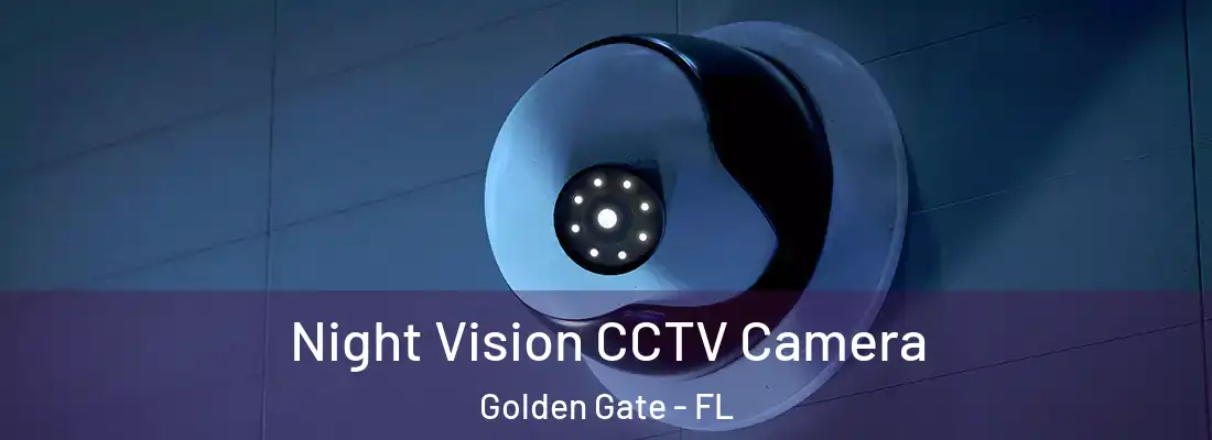 Night Vision CCTV Camera Golden Gate - FL