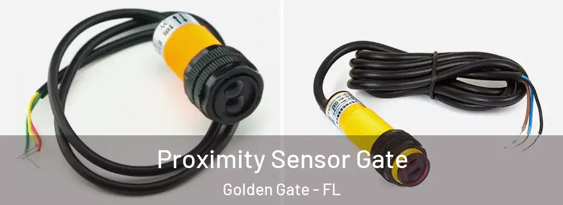 Proximity Sensor Gate Golden Gate - FL